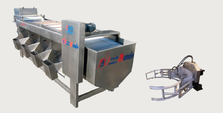 Azeitona de Conserva